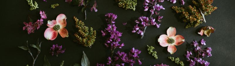 Purple Flowers, Dark background, Spring flowers, Green leaves, Foliage, 5K