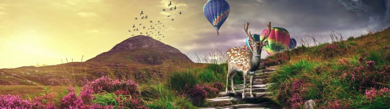 Deer, Hot air balloons, Sunrise, Landscape, Stone staircase, Spring, Girly