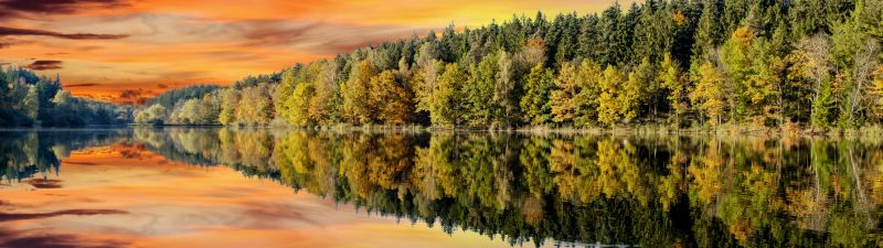 Forest, Afterglow, Trees, Sunset, Orange sky, Mirror Lake, Body of Water, Reflection, Landscape, Scenery, 5K