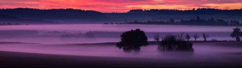 Orange sky, Sunset, Landscape, Foggy, Scenery, Clouds, Trees, Silhouette, Dawn, 5K