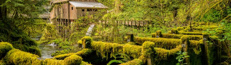 Cedar Creek Grist Mill, Woodland, Washington State, Forest, Landscape, Green Trees, Greenery, Moss, Scenery, 5K