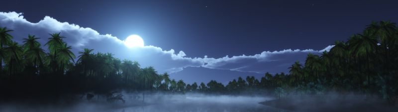 Moon light, Night time, Palm trees, Body of Water, Reflection, Stars, Clouds