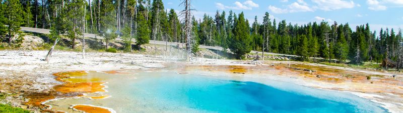 Mudpot, Yellowstone National Park, Tourist attraction, Green Trees, Landscape, Blue Sky