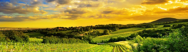 Kahlenberg hills, Vienna, Austria, Landscape, Greenery, Sunset, Beautiful, Cloudy Sky, Plantation, Fields, 5K