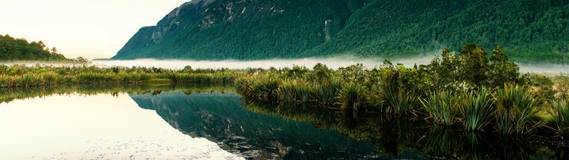 Mirror Lakes, New Zealand, Fog, Mountain, Reflection, Landscape, Scenery, Greenery