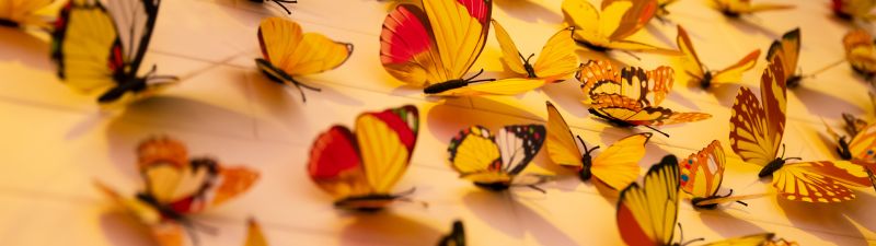 Colorful butterflies, Aesthetic, Wall Decorations, Yellow Butterflies, Closeup, Assorted, Beautiful, 5K