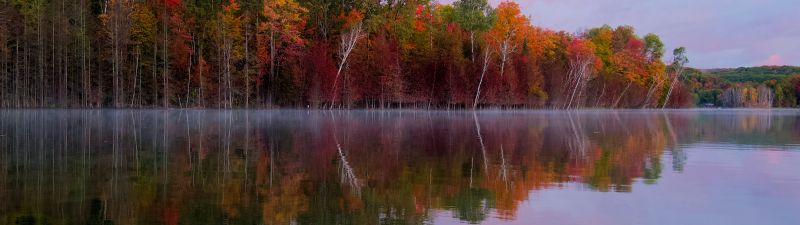 Autumn trees, Forest, Body of Water, Reflection, Lake, Landscape, Scenery, Outdoor, 5K