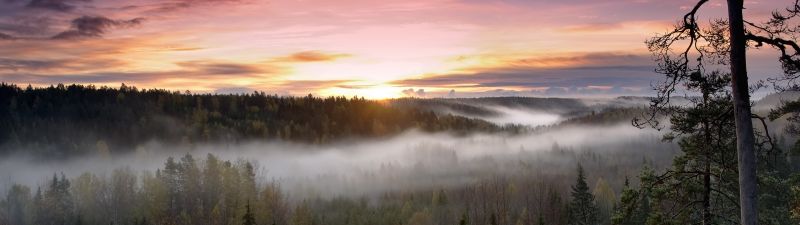 Noux National Park, Finland, Sunrise, Fog, Forest, Green Trees, Landscape, Early Morning