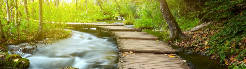 Wooden pier, Forest, Green Trees, Water Stream, Long exposure, Greenery, Woods, Scenery, 5K, 8K