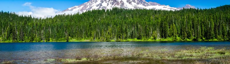 Mount Rainier National Park, Washington State, Landscape, Lake, Reflection, Green Trees, Clear sky, Blue Sky, Glacier mountains, Snow covered, Scenery