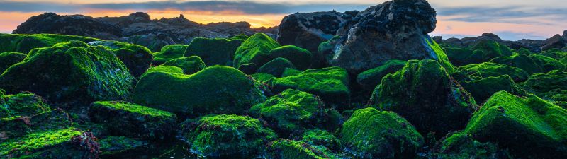 Seashore, Green Rocks, Sunset