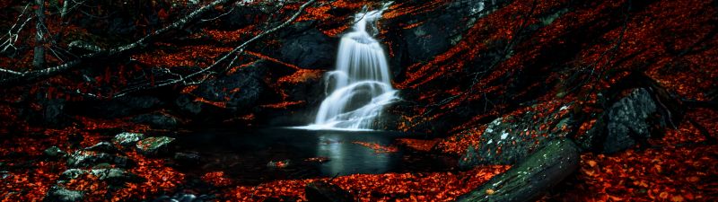 Waterfalls, Autumn, Dark Forest, Foliage, Woods, Red leaves, Fallen Leaves, Water Stream, Scenic, 5K, Dark red