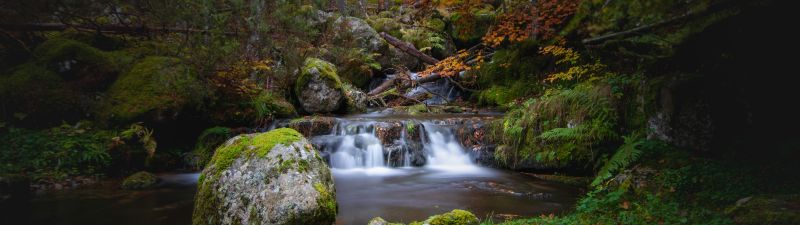 Waterfall, Autumn, Foliage, Forest, Woods, Greenery, Rocks, Green Moss, Long exposure, Water Stream, Landscape, Scenery, 5K