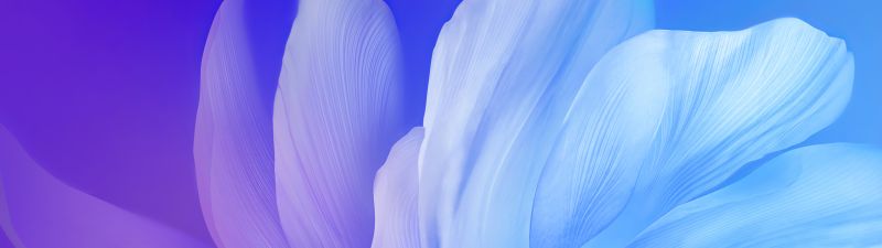 Blue flower, Gradient, Aesthetic, Vivo Stock, Android 10