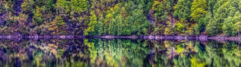 Rainforest, Cliff, Rock, Trees, Lake, River, Forest, Reflection, Norway, 5K