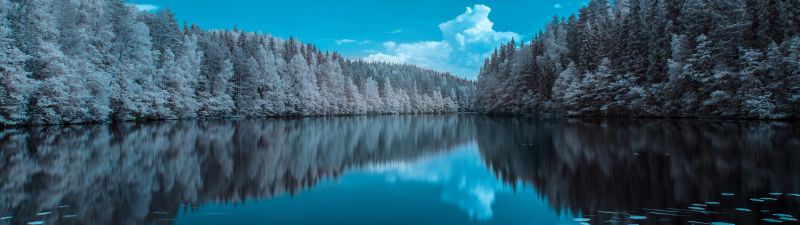 Forest, Infrared vision, Blue Sky, Mirror Lake, Reflection, Body of Water, Landscape, Pine trees, 5K, 8K