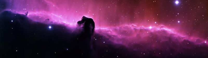 Horsehead Nebula, Constellation, Astronomy, NASA, Hubble Space Telescope