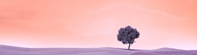 Lone tree, Surreal, Landscape, Spring, Lake, Digital composition, Purple aesthetic