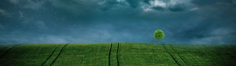 Landscape, Lone tree, Starry sky, Cloudy Sky, Green Fields, 5K, 8K