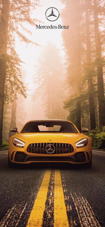 Mercedes-Benz AMG GT R, Sports coupe, Forest, Road, 5K