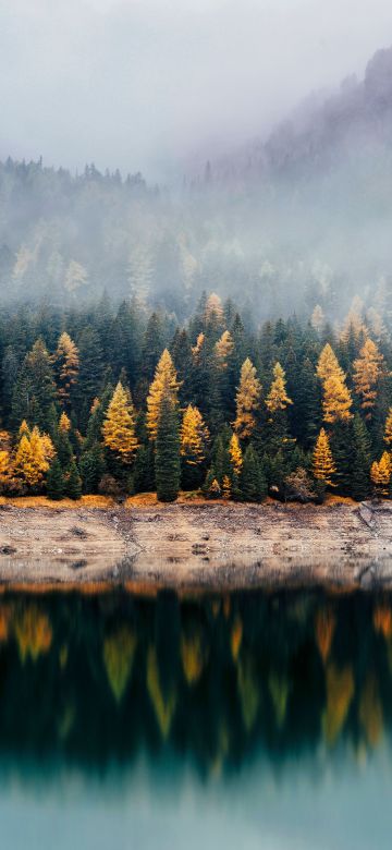 Forest, Reflection, Woods, Autumn, Lake, Foggy, Mist, Fall, 5K