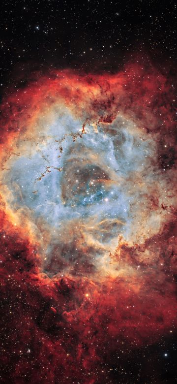 Rosette Nebula, Milky Way, Galaxy, Stars, 5K