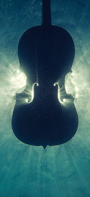 Violin, Underwater, Sea, Silhouette