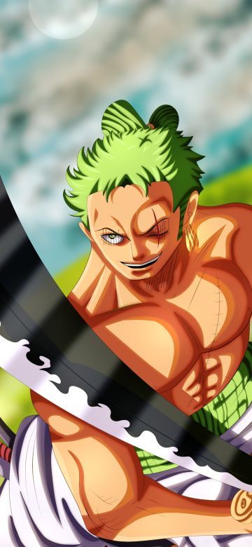 Roronoa Zoro, One Piece