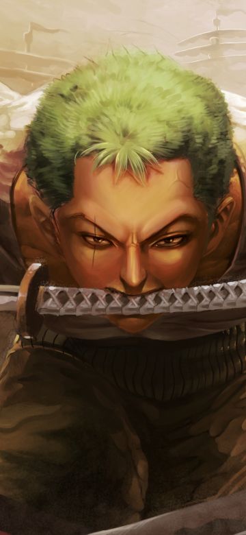 Roronoa Zoro, Three Sword Style, One Piece