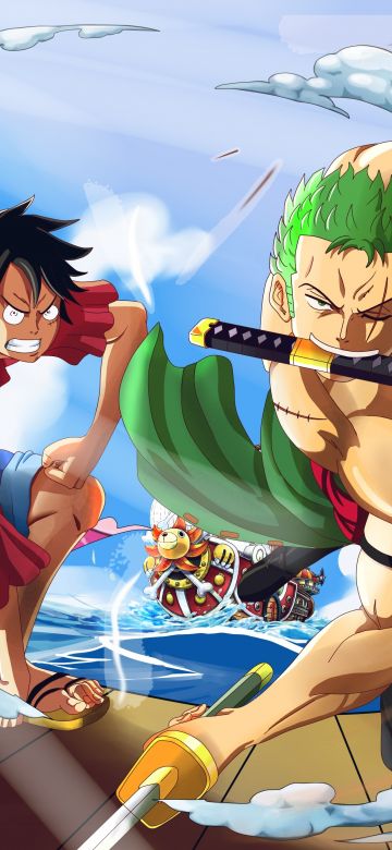 Monkey D. Luffy, Roronoa Zoro, One Piece, Three Sword Style