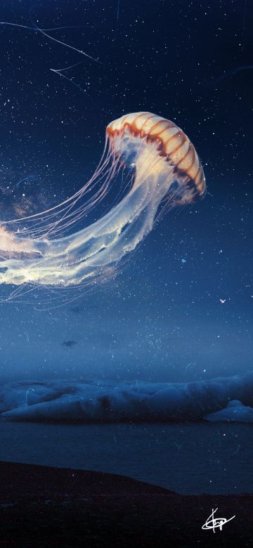 Jellyfish, Dream, Surreal, Night sky, Alone