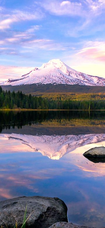 Trillium Lake, Mount Hood, Pine trees, Forest, Reflection, Oregon, USA