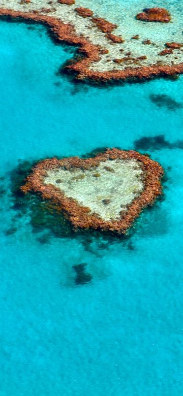 Love heart, Heart Reef, Great Barrier Reef, Coral reef, Australia, 5K, Tourist attraction, Aerial Photography