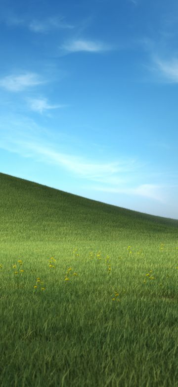 Windows XP, Landscape, Nostalgic, Grass field