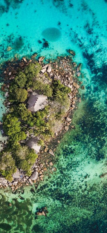 Beach, Praslin, Seychelles, Seascape, Aerial view, Aerial Photography