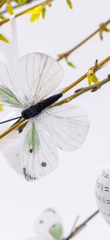 Easter eggs, Easter Decoration, White, Branches, Mayfly, 5K