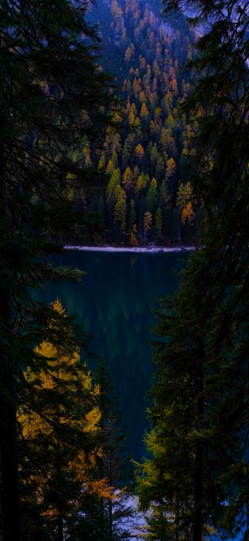 Lake, Forest, Wilderness, Pine trees, Cold, Evening