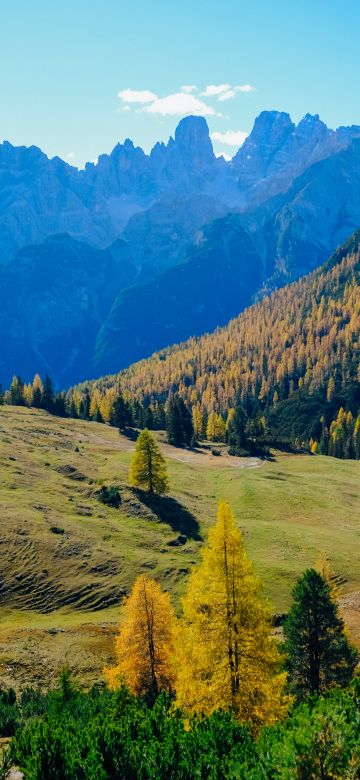 Sunny day, Landscape, Forest, Mountains, Autumn, 5K