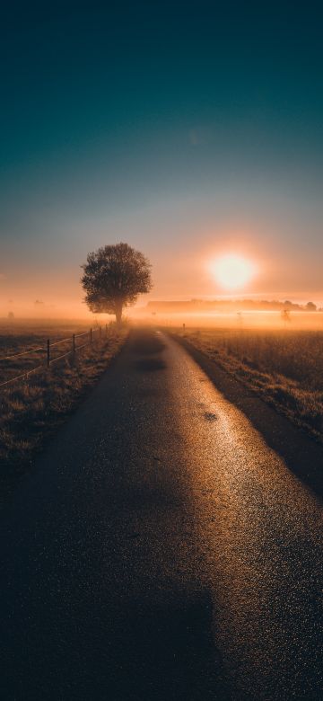 Sunrise, Sweden, Landscape, Road, Countryside, 5K