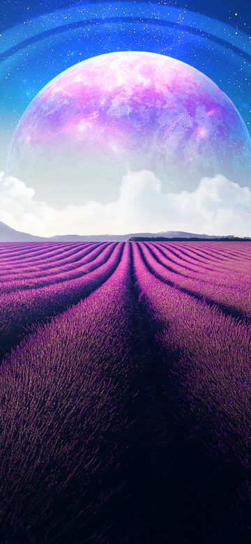 Lavender fields, Lavender farm, Landscape, Planet, Surreal, Aesthetic