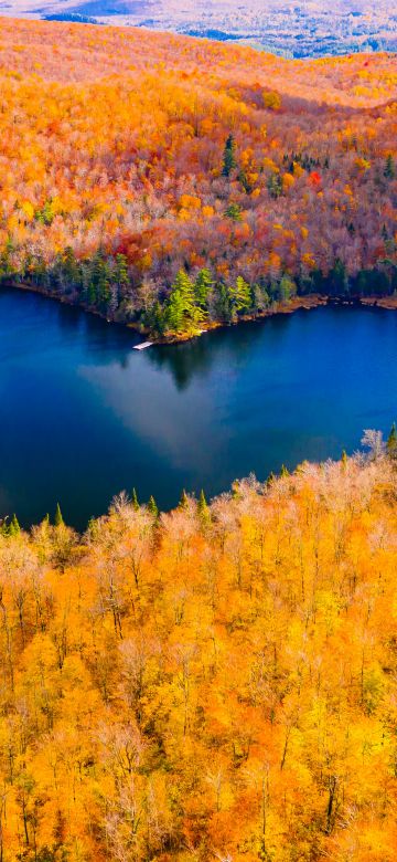 Heart Shaped Lake, Autumn Forest, Fall Colors, Aesthetic, 5K