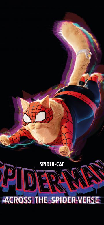 Spider-Cat, Spider-Man: Across the Spider-Verse, 5K, 8K, Black background