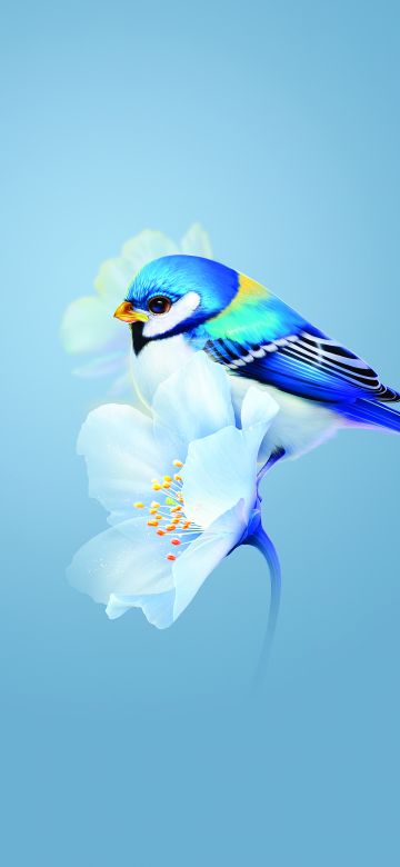 Cute bird, Blue flower, Blue background, Huawei Mate X3, Stock