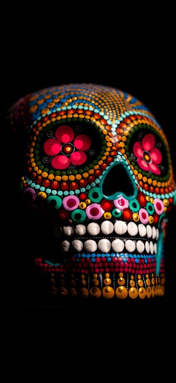 Skull, Multicolor, Black background, 5K, 8K