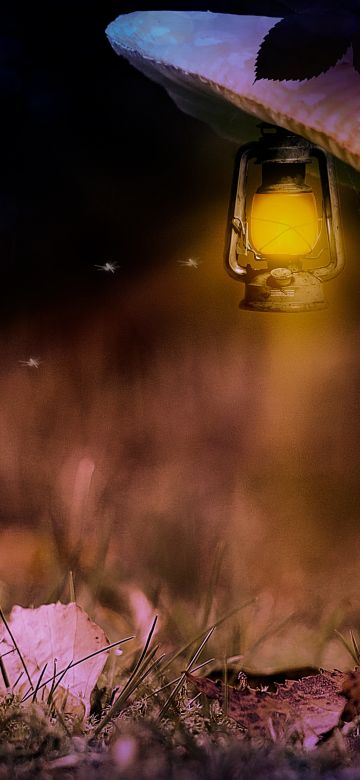 Mushroom house, Lantern, Teddy bear, Surreal, 5K