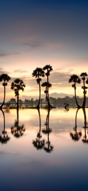 Palm trees, Silhouette, 8K, Reflection, Body of Water