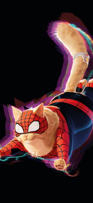 Spider-Cat, 8K, AMOLED, Spider-Man: Across the Spider-Verse, 5K