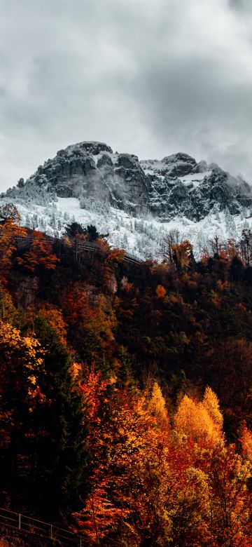 Alps, Autumn, Alps mountains, Forest, Wilderness, Landscape, Switzerland, 5K