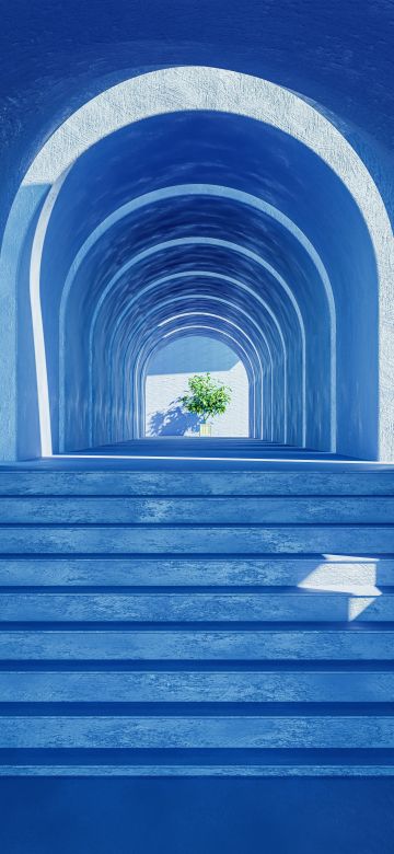 Aesthetic interior, Plant, Blue, 5K