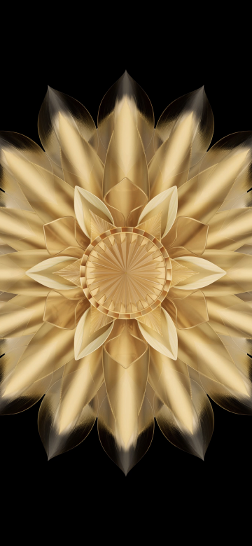 Golden, Abstract flower, HONOR Magic V2, Stock, AMOLED, Black background, 5K